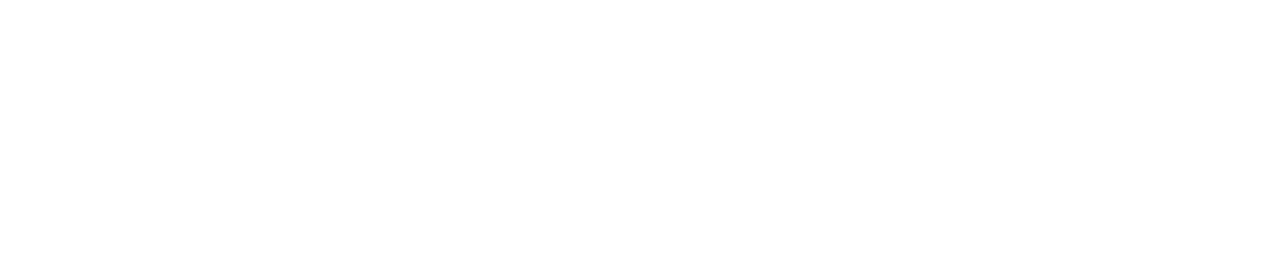 White wordmark — Completa